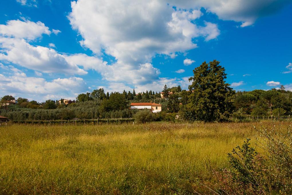 Agriturismo Terre Di Leonardo Bed and Breakfast Vinci Buitenkant foto